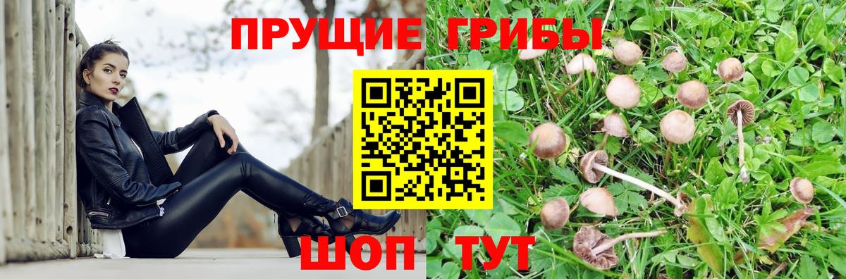 Галлюциногенные грибы прущие грибы Югорск